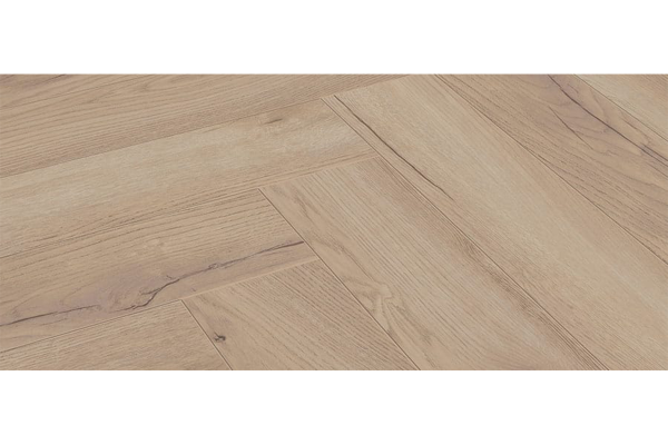 Toulouse Eiche – D 3678