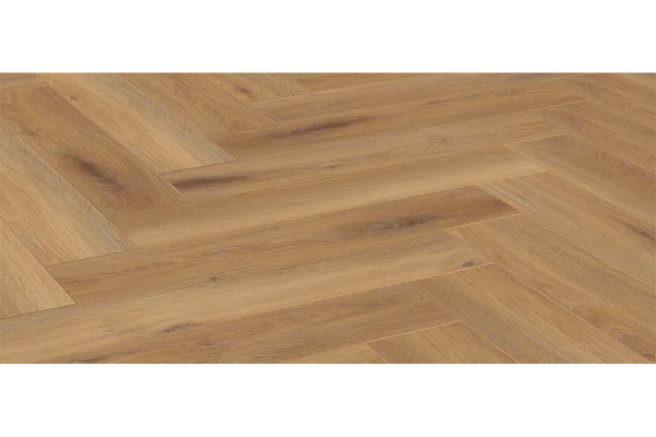 Pisa Eiche – D 3861 