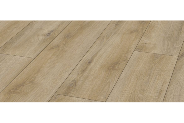 Summer Oak Nature – D 3903+