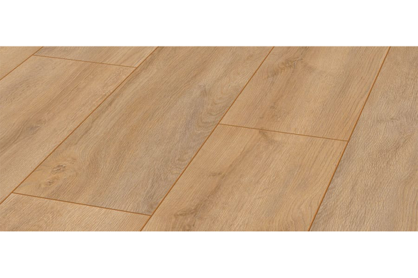 Grand Oak – D 4954+