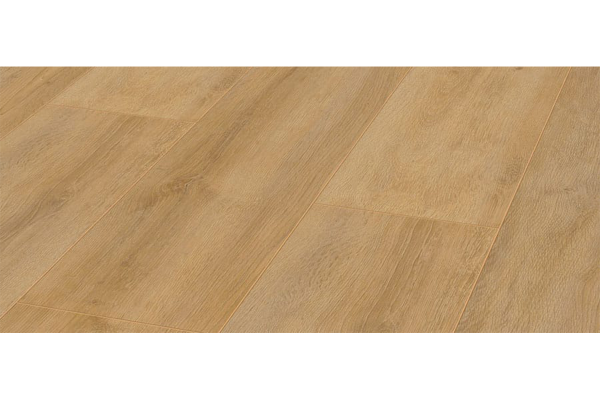 Grand Oak Nature – D 4955+